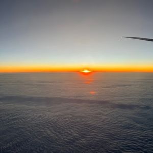 Meet your Posher, Ocean ada